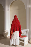 Red - Pure Modal Silk Bandhani Checks Pallu Dupatta with Zari Lagdi Patta