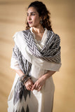 Grey/White - Pochampally double Ikat cotton dupatta