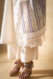 Blue - Pochampally double Ikat cotton dupatta