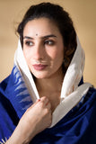 Blue - Pochampally double Ikat cotton dupatta