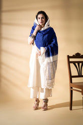 Blue - Pochampally double Ikat cotton dupatta