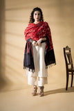 Red/Black - Pochampally double Ikat cotton dupatta