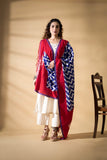Red/Blue - Pochampally double Ikat cotton dupatta
