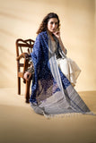 Grey/Blue - Pochampally double Ikat cotton dupatta