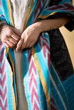 Black/Blue - Pochampally double Ikat cotton dupatta