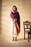 Deep Brown - Pochampally double Ikat cotton dupatta