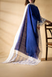 Blue - Pochampally double Ikat cotton dupatta