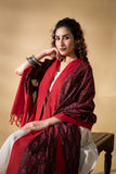 Deep Brown/Red - Pochampally double Ikat cotton dupatta