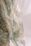 Green - Kota Doria Bagru Hand Block Printed Saree