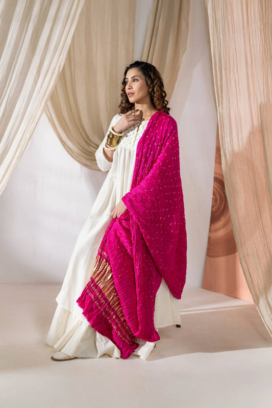 Pure Modal Silk Bandhani Dani Dupatta with Zari Lagdi Patta - Maharani Pink